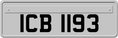 ICB1193