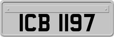 ICB1197