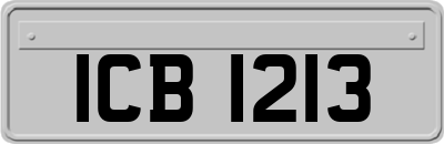 ICB1213