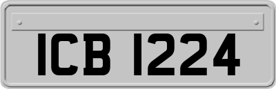 ICB1224
