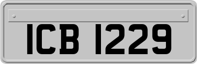 ICB1229