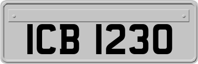 ICB1230