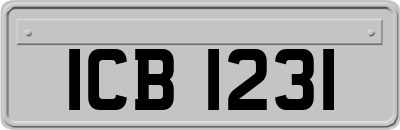 ICB1231