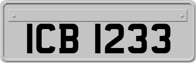 ICB1233