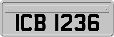ICB1236