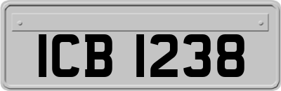 ICB1238