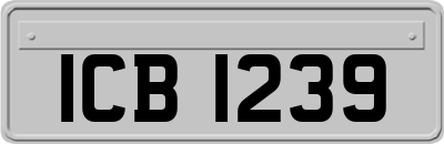 ICB1239