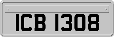 ICB1308