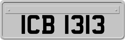 ICB1313