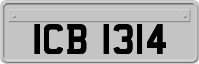 ICB1314