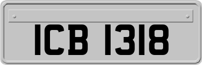 ICB1318
