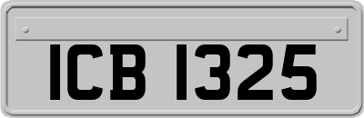 ICB1325