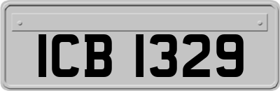 ICB1329