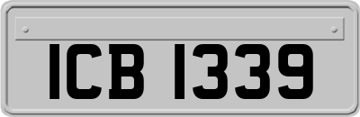 ICB1339