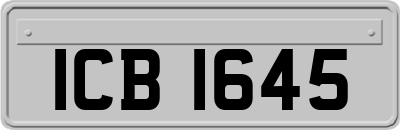 ICB1645