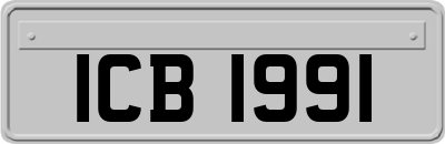 ICB1991