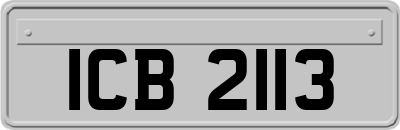 ICB2113