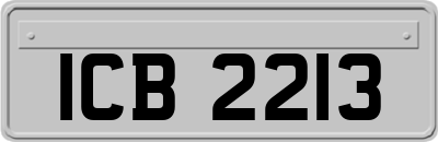 ICB2213