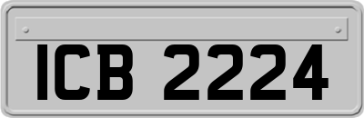 ICB2224