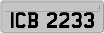 ICB2233