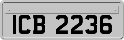 ICB2236