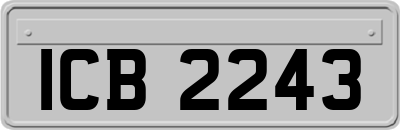 ICB2243