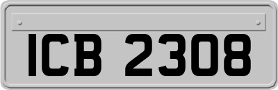 ICB2308