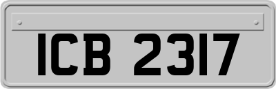 ICB2317