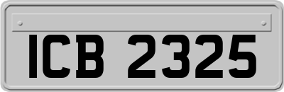 ICB2325