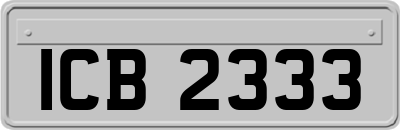 ICB2333