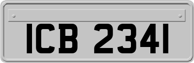 ICB2341