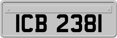 ICB2381