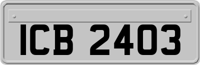 ICB2403