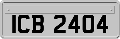 ICB2404