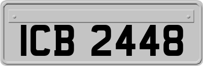 ICB2448