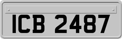 ICB2487