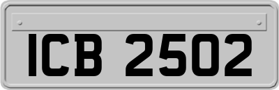 ICB2502