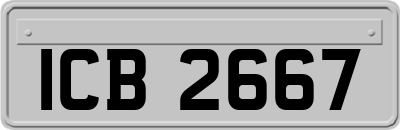 ICB2667