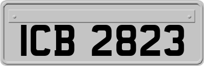 ICB2823