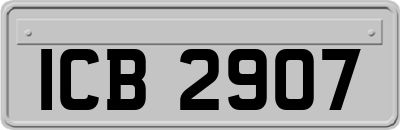 ICB2907
