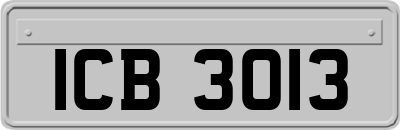 ICB3013