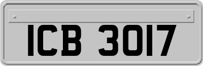 ICB3017