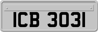 ICB3031