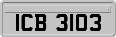 ICB3103