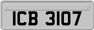 ICB3107