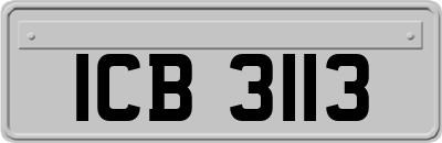 ICB3113