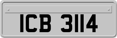 ICB3114