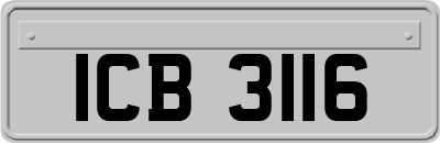 ICB3116