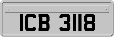 ICB3118