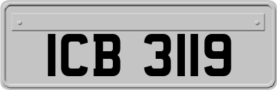 ICB3119